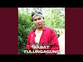 Babat Tulungagung (feat. Sriana)