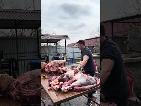 Butchering an alien from Africa