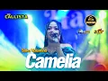 Download Lagu CAMELIA Siska Valentina || NEW CALLISTA || LIVE IN TROPODO KRIAN Audio Jernih poll 👍Dhehan audiO