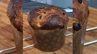 Ricetta furba! 😃Panettone ad 1 impasto con lievito di birra! 🍻