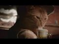 Cat Drinking GIF original