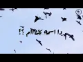 Hamza Namira - Fady Shewaya | حمزة نمرة - فاضي شوية جديد بالكلمات