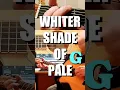 Download Lagu 🎸WHITER SHADE OF PALE (Flute \u0026 🎸+Chords) #acousticguitarist   #guitarchordprogression