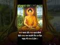 Download Lagu Buddha Amritwani 🙏||