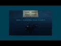 did i cross the line ( loop + outro) wildflower