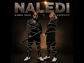 Naledi