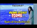 Download Lagu BUANG SEDIKIT EGOMU ~ ICHA ZAGITA  [ Lyrics Music Video  ] - Buat Lah Sesuka Hatimu -