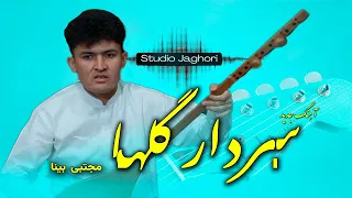 آهنگ جدید از مجبتی بینا سردار گلها گلی خوشبوی مه New Songe 