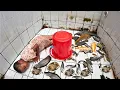 Download Lagu Why The Girl Sleeping! Aquarium Fish Tank 4K Ultra HD