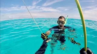 Their First Time Spearfishing – Ruby Rose!!