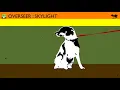 Overseer - Skylight