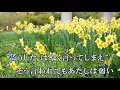 カブトムシ aiko カラオケ  練習用  原曲キー 歌付き ボーカル入り 歌詞付き