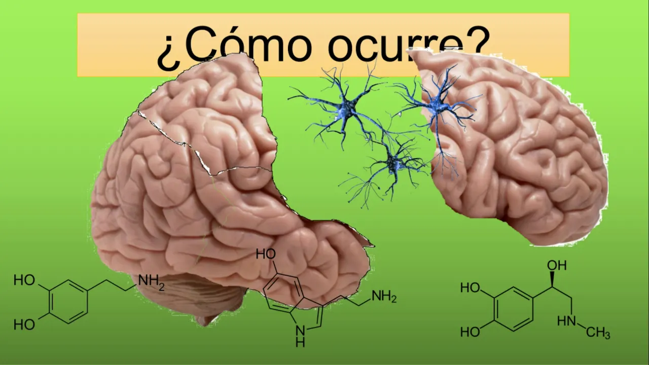 ¿Qué es la esquizofrenia? ENTIENDELO DE UNA VEZ. (con indice)