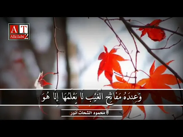 ⁣وَعِندَهُ مَفَاتِحُ الْغَيْبِ لَا يَعْلَمُهَا إِلَّا هُوَ || تلاوة جميلة جداً ❤ || محمود الشحات أنور