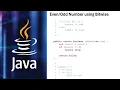 Check if number is Even Odd using bitwise Interview Questions Java