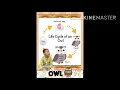 Life cycle of owl