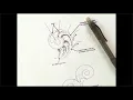 Basic Scroll Design for Engraving and Jewelry with Christian DeCamillis