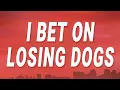 Download Lagu Mitski - I Bet on Losing Dogs (Lyrics)