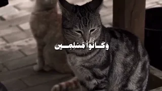 يا عبادى لا خوف عليكم اليوم ولا انتم تحزنون المنشاوى دندنها