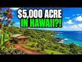 The Cheapest Land in Hawaii Costs 5 000 And the Reason Will Terrify You
