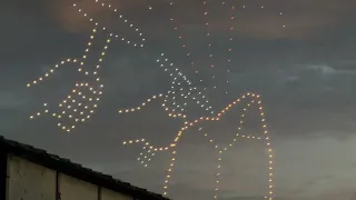                   دندنها