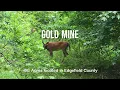 Gold Mine 68 Acres Edgefield County South Carolina