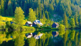 Gentle music, calms the nervous system and pleases the soul - healing music for the heart and blood