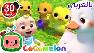 خمس بطات أين ذهب صغار البط كوكو ميلون بالعربي اغاني اطفال ورسوم متحركة 