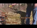 Conditioning Planting and Growing a Straw Bale Garden - From Day One