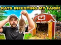 Trapping GIANT RATS Taking Over My BACKYARD FARM Caught on Camera