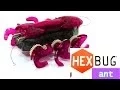 Hexbug Ant Micro Robotic Creature