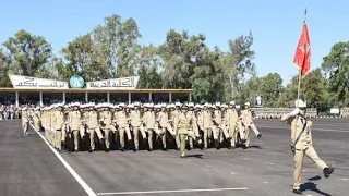                                                                                                      دندنها