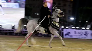 فرفشة الداوود و احمد هشام سرحان مهرجان الشرقية لأدب الخيول العربية 2025 