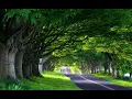 Download Lagu QURAN SURAH AL-Takwir (chapter 81) by sheikh abdurahaman sudais