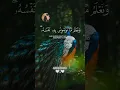 Download Lagu #surah #surahyasinmubinkitakrar #qurantilawat #quran