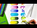 Master Coloured Pencil Blending 6 Easy Techniques from a Pro