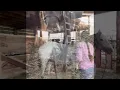 Malibu sale Ranchworldads