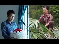 Download Lagu Dong prepares a surprise for Tu Yen after her trip alone to repair her house after the storm.