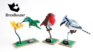 Lego Ideas 21301 Birds - Lego Speed Build