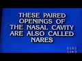 Download Lagu Jeopardy Round 2 (Part 1)(February 23, 1996)