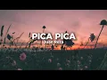 Download Lagu Juan Reza - Pica Pica (Lirik lagu timur)