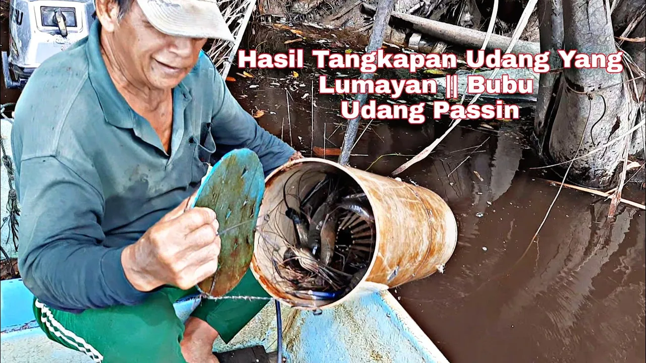 Hasil Tangkapan || Udang Galah Yang Lumayan || bubu || Udang Passin