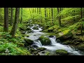 Download Lagu Music heals the heart 🌿Gentle music restores the nervous system, relaxes |  Flowrest Piano