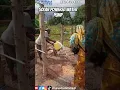 Download Lagu Solar Powered Water Pump  #WaterSolutions #SolarEnergy  #CleanWater #SolarPower #shorts