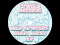 Download Lagu NED FLANGERZ - RIZZER (ZONKER REMIX)