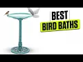 3 BEST Bird Baths