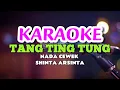 Download Lagu TANG TING TUNG - SHINTA ARSINTA KARAOKE
