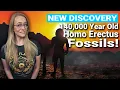 140 000 Year Old Homo Erectus Fossils Found Indonesia