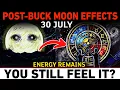 July 30 The Buck Moon IsGone So Why Are You Still Feeling Its Effects