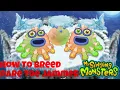 How To Breed Rare Toe Jammer On Cold Island My Singing Monsters